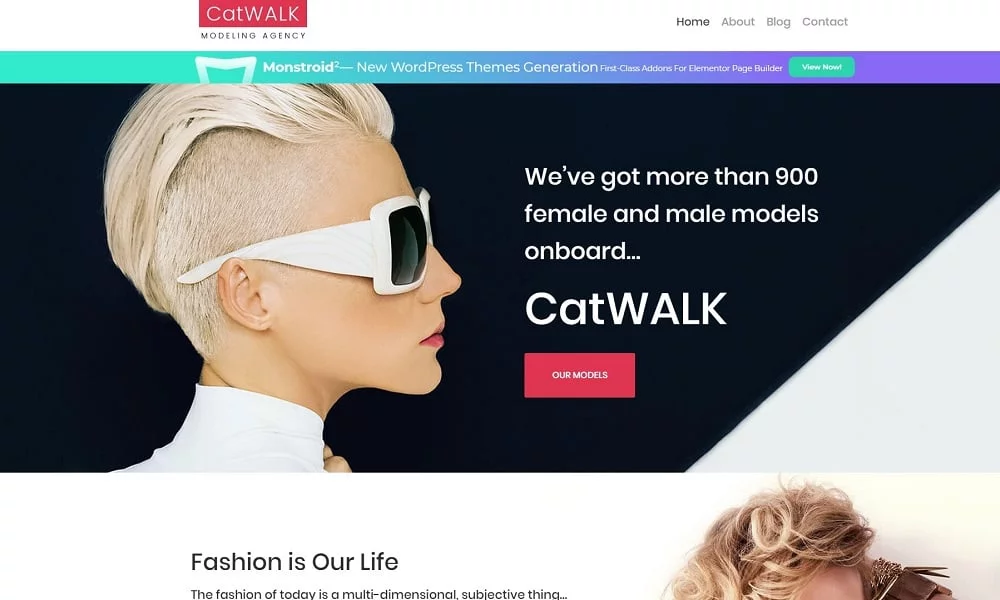 free-catwalk