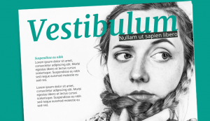 Magazine