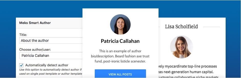 MEKS SMART AUTHOR WIDGET WORDPRESS
