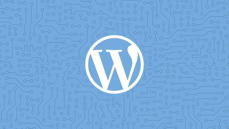 Best WordPress Plugins