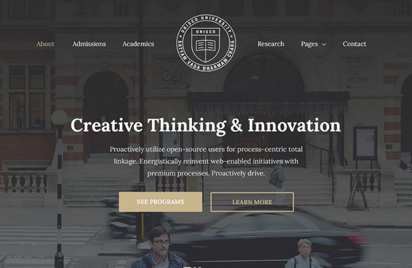 wordpress website