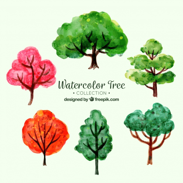 Watercolor