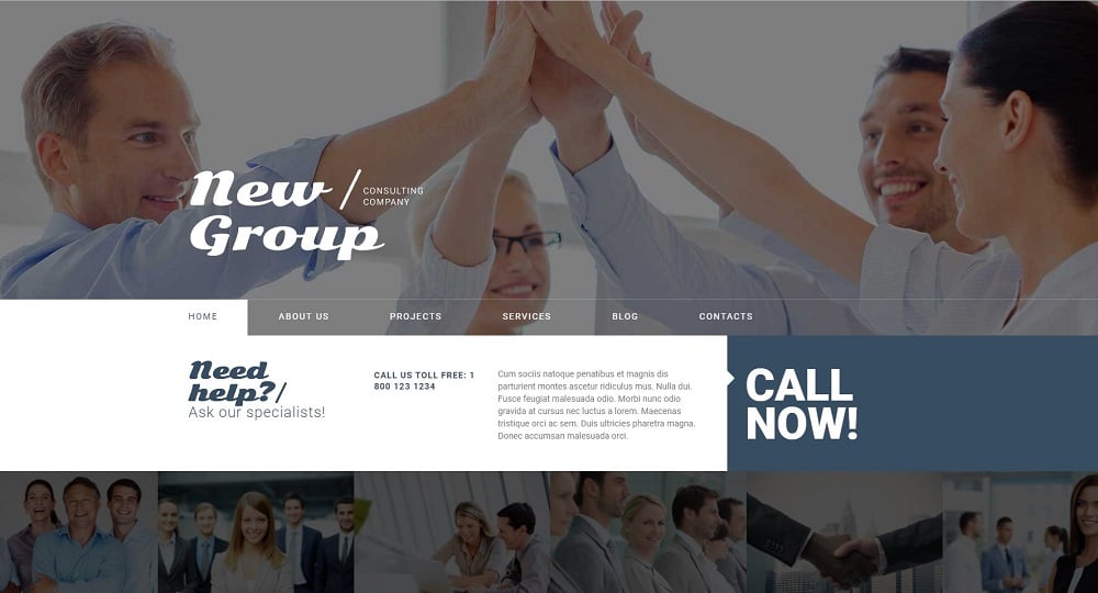 Free WordPress Theme for Consulting Firm