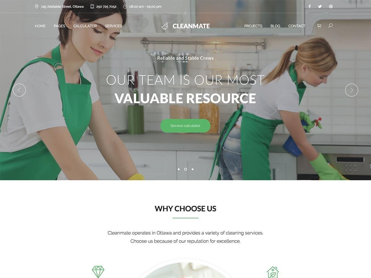cleaning_business