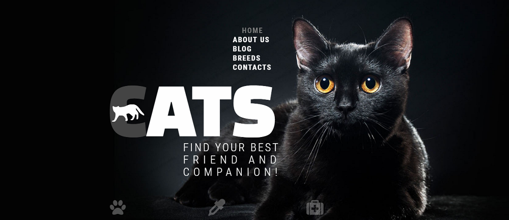 Cats Club Website Template