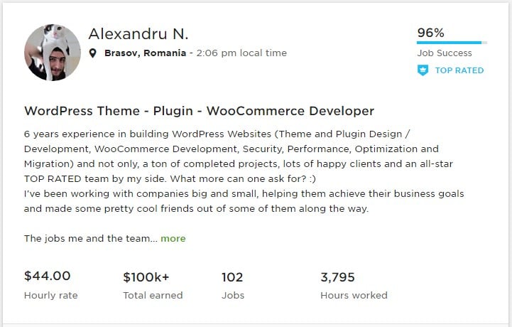 wordpress developers