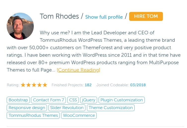 wordpress developers