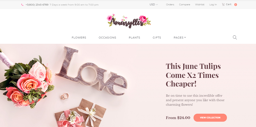 Amaryllis - Flower Shop WooCommerce Theme