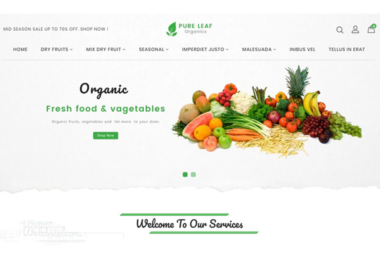 Pureleaf Organic Shopify Theme.